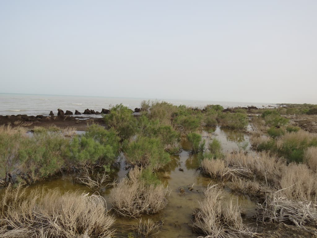 Modern luxury houses line a calm street in Ashgabat, Turkmenistan.