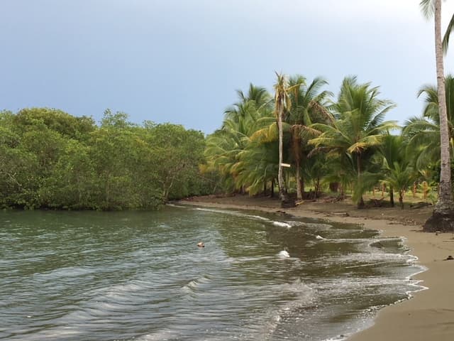 Puerto Jimenez beach